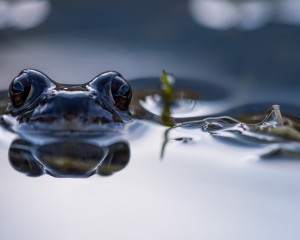 platz-001-michael-konrad