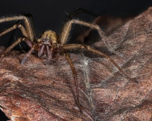 platz-002-michael-konrad