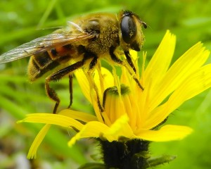 platz-007-mario-ziegler