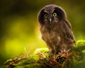 platz-001-roland-hank