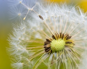 platz-009-michael-konrad