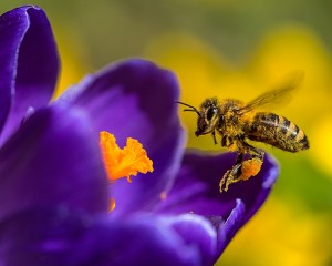 platz-001-michael-konrad