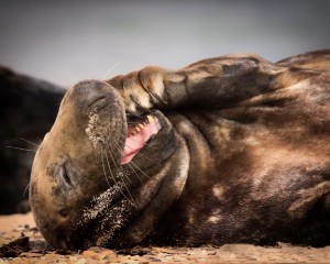 platz-006-roland-hank