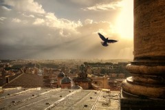 2019-06  - Contest Smartphone Fotografie