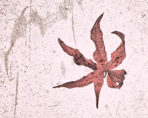 Platz-003-Ruth-Sommer