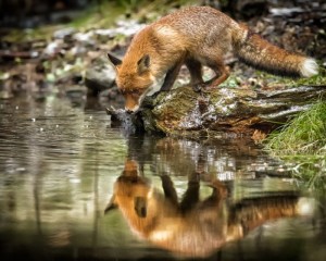 platz-002-bild-spiegelungen_013
