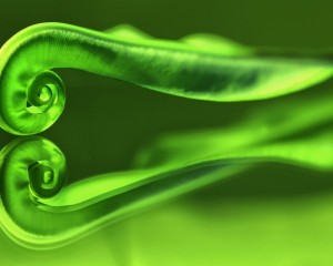 platz-002-bild-spiegelungen_024