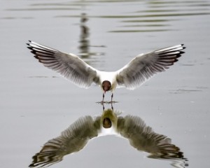 platz-007-bild-spiegelungen_012