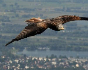 Platz-005-Siegfried-Bruckmeier