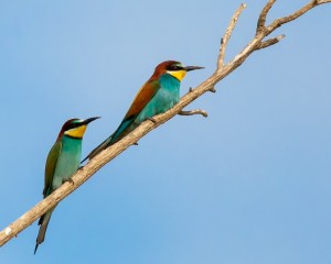 Platz-008-Gerhard-Hein