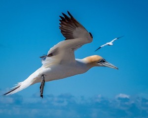 Platz-010-Carola-Ernszt