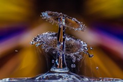 2019-02 - Contest Wasser