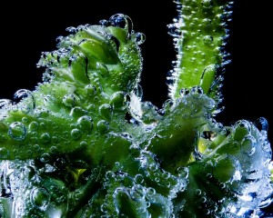 platz-007-monika-siegel