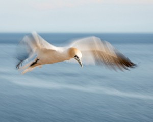 Platz-001-Index-001-Bild-2-Peter-Ernszt