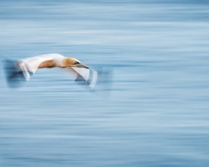 Platz-003-Index-003-Bild-4-Peter-Ernszt