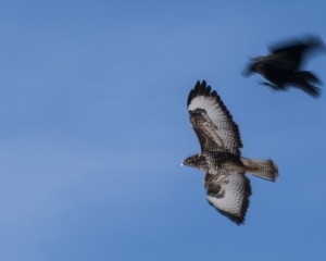 Platz-008-Index-008-Bild-14-Siegfried-Bruckmeier