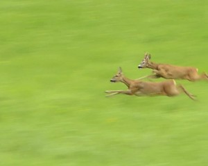 Platz-009-Index-010-Bild-11-Siegfried-Bruckmeier