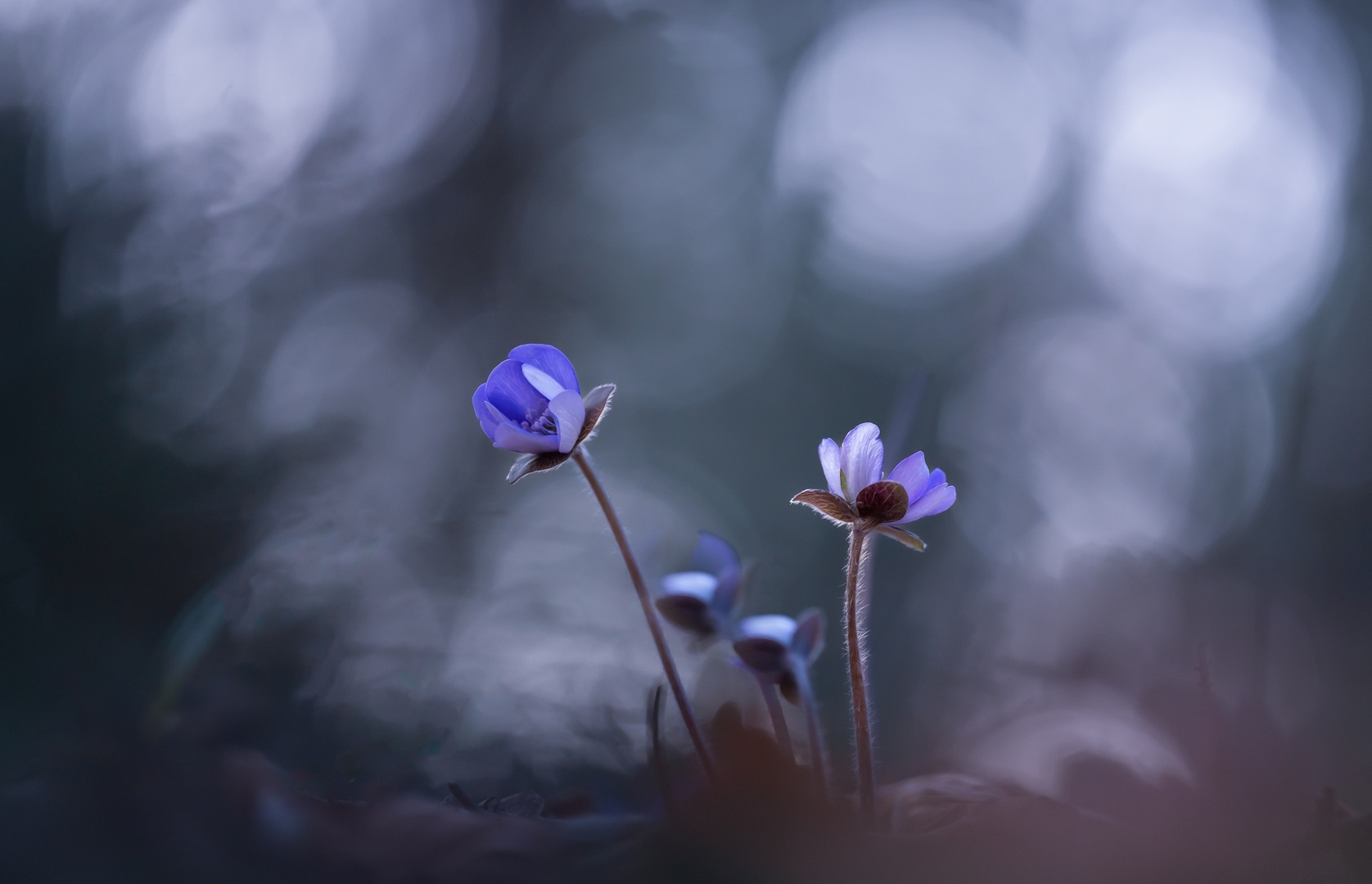 Bokeh Platz 001 Ruth Sommer