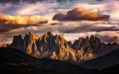 2023-11- Natur im Dämmerlicht