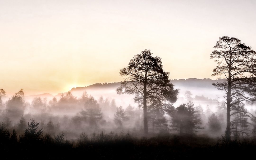 Platz 001 Ruth Sommer