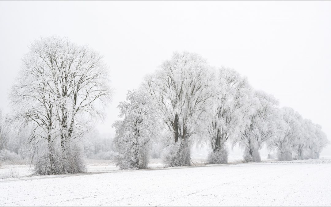 Platz 001 Robert Span