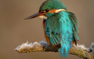 2024-08 – Festplattenschätze