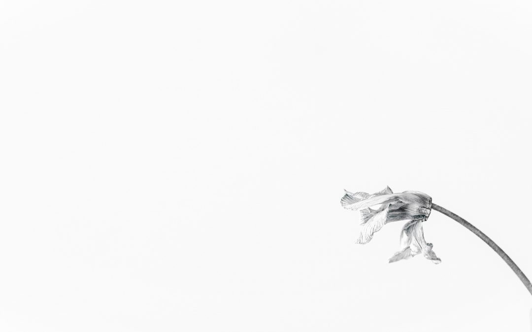 Platz 001 - Ruth Sommer