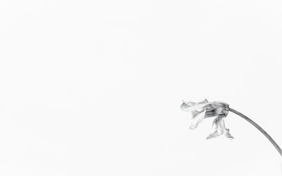 2024-09 – Minimalismus