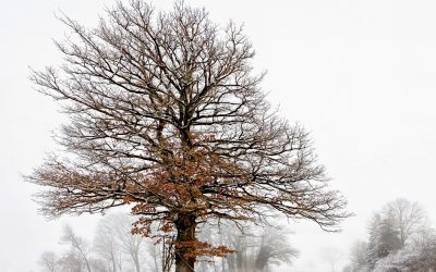 2024-11 – Einsam – Stille Momente