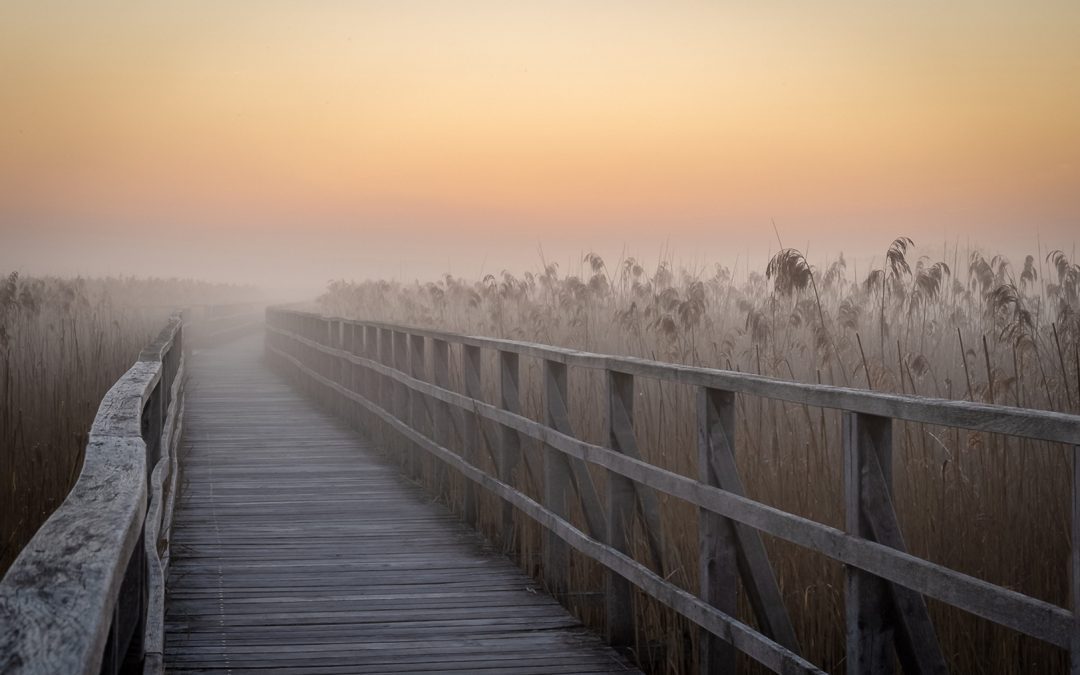 Platz 001 Peter Ernszt