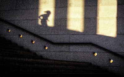 2025-03 – Licht und Schatten