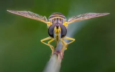 2025-08 – Festplattenschätze