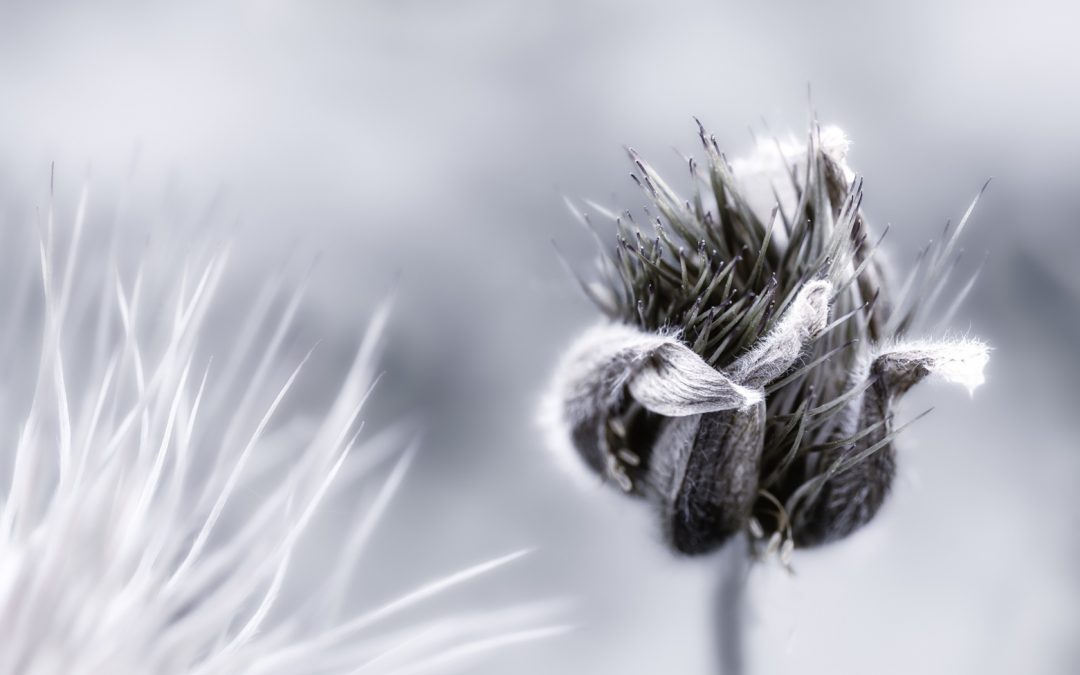 Platz 001 Ruth Sommer