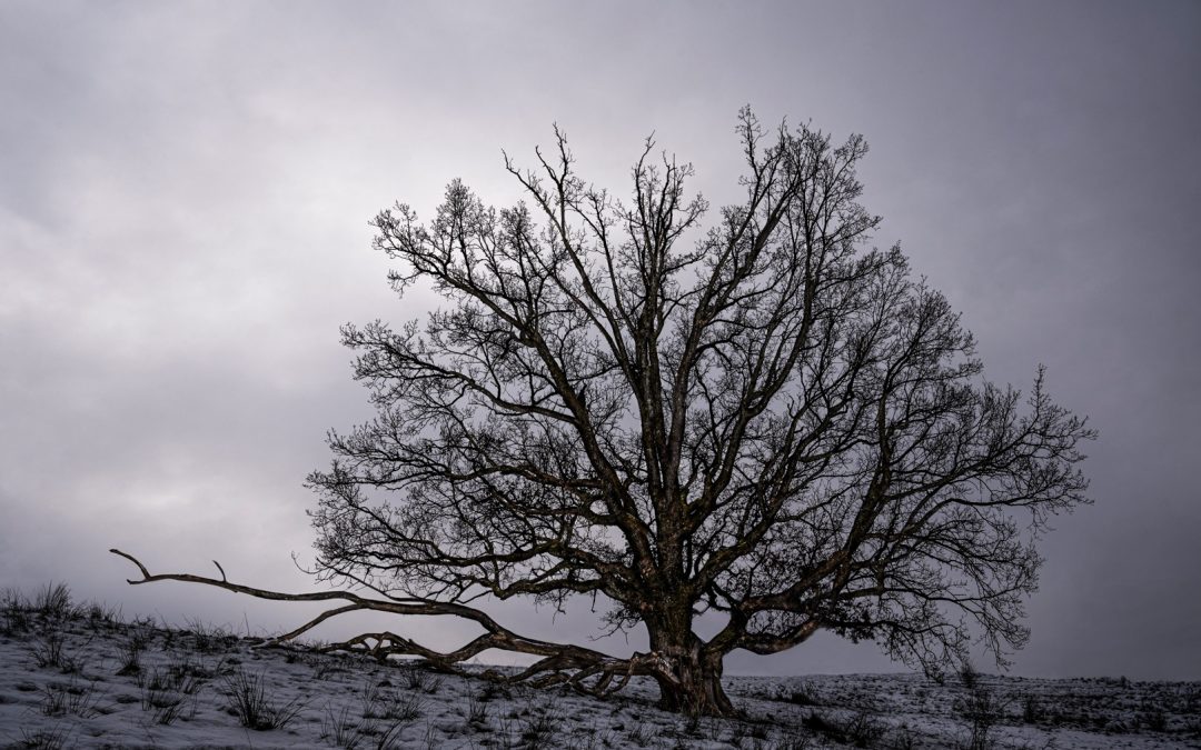 Platz 001 Ruth Sommer